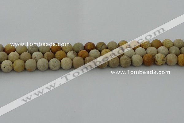 CFC222 15.5 inches 8mm round matte fossil coral beads wholesale