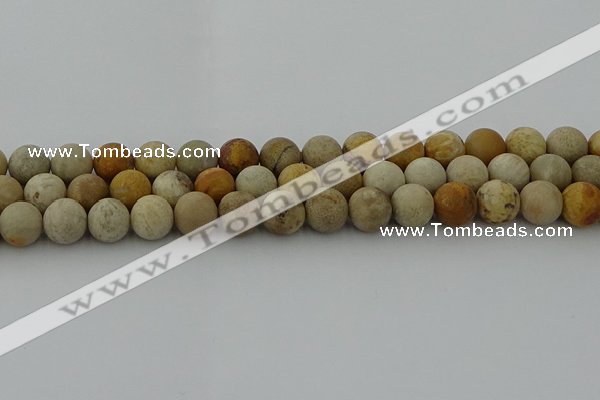 CFC223 15.5 inches 10mm round matte fossil coral beads wholesale