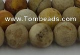 CFC224 15.5 inches 12mm round matte fossil coral beads wholesale