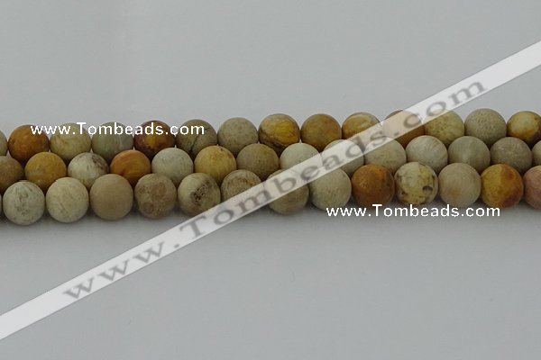 CFC224 15.5 inches 12mm round matte fossil coral beads wholesale