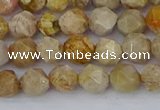 CFC236 15.5 inches 6mm faceted nuggets fossil coral beads