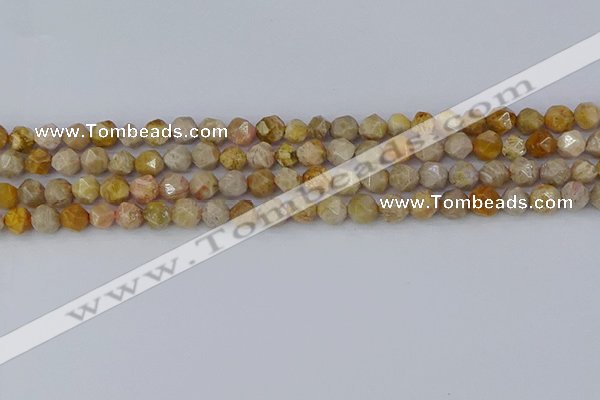 CFC236 15.5 inches 6mm faceted nuggets fossil coral beads