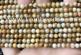 CFC320 15.5 inches 4mm round fossil coral beads wholesale