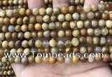 CFC321 15.5 inches 6mm round fossil coral beads wholesale