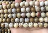 CFC323 15.5 inches 10mm round fossil coral beads wholesale