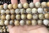 CFC324 15.5 inches 12mm round fossil coral beads wholesale