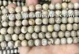 CFC333 15.5 inches 8mm round fossil coral beads wholesale