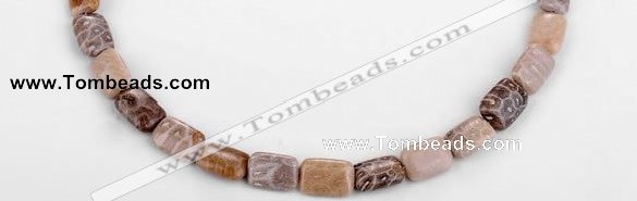 CFC50 10*14mm rectangle coral fossil jasper beads wholesale