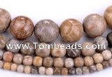 CFC55 15.5 inches round coral fossil jasper beads wholesale