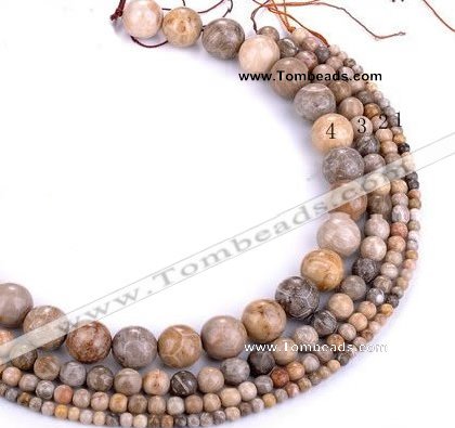 CFC55 15.5 inches round coral fossil jasper beads wholesale