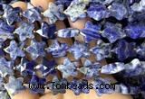 CFG1673 15 inches 14mm carved star sodalite gemstone beads
