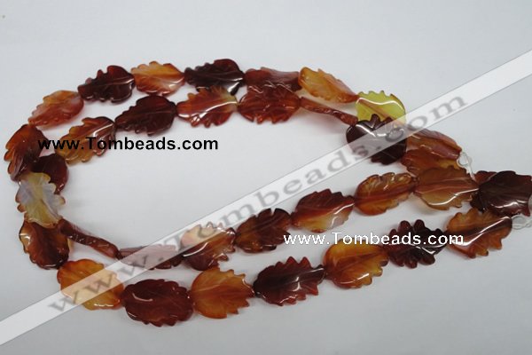 CFG279 15.5 inches 16*24mm carved leaf red agate beads