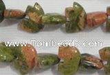 CFG770 15.5 inches 10*15mm carved animal unakite gemstone beads