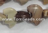 CFG796 12.5 inches 14*18mm carved animal jasper beads