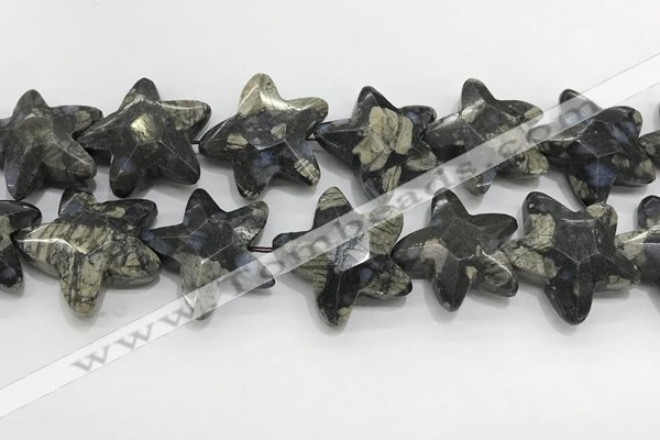 CFG985 15.5 inches 33*33mm carved star grey opal gemstone beads