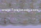 CFL1200 15.5 inches 6*10mm rice green fluorite gemstone beads