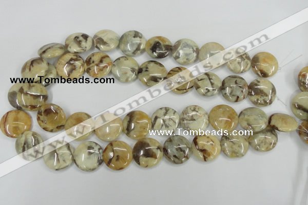 CFS204 15.5 inches 20mm flat round natural feldspar gemstone beads