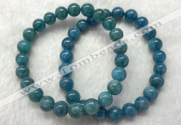 CGB2621 7.5 inches 8mm round natural apatite beaded bracelets