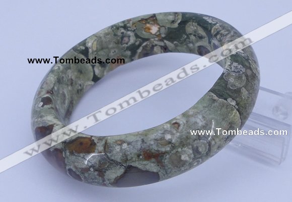 CGB476 Inner diameter 58mm fashion rhyolite gemstone bangle