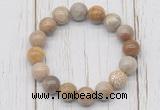 CGB5745 10mm, 12mm fossil coral beads with zircon ball charm bracelets
