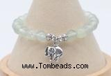 CGB7902 8mm prehnite bead with luckly charm bracelets wholesale