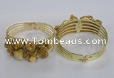 CGB822 30*68mm - 30*70mm druzy agate gemstone bangles wholeasale