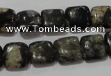 CGE152 15.5 inches 12*12mm square glaucophane gemstone beads