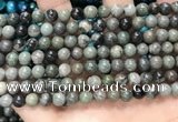 CGJ511 15.5 inches 6mm round green forst jasper beads wholesale