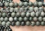 CGJ514 15.5 inches 12mm round green forst jasper beads wholesale
