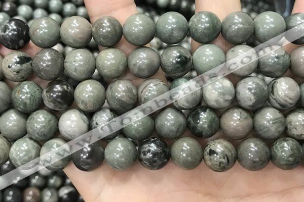 CGJ514 15.5 inches 12mm round green forst jasper beads wholesale