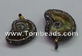 CGP1561 20*28mm - 25*35mm ammonite pendants wholesale