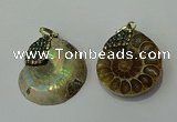 CGP271 25*30mm - 30*35mm ammonite pendants wholesale