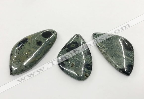 CGP3611 30*50mm - 35*55mm freeform kambaba jasper pendants