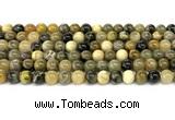 CHJ102 15 inches 8mm round honeybee jasper beads