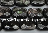 CHS37 15.5 inches 13*18mm faceted rectangle natural hypersthene beads