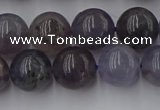 CIL102 15.5 inches 8mm round iolite gemstone beads wholesale