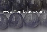 CIL104 15.5 inches 12mm round iolite gemstone beads wholesale