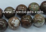 CJA38 15.5 inches 14mm round green jasper beads wholesale