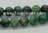 CKC102 16 inches 10mm round natural green kyanite beads