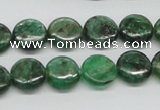 CKC108 16 inches 12mm flat round natural green kyanite beads wholesale