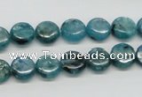 CKC21 16 inches 10mm flat round natural kyanite beads wholesale