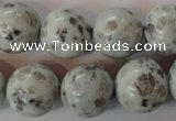 CKW06 15.5 inches 16mm round kiwi jasper gemstone beads