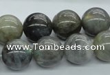 CLB103 15.5 inches 16mm round labradorite gemstone beads wholesale