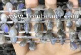 CLB1044 Top drilled 8*12mm faceted briolette labradorite beads