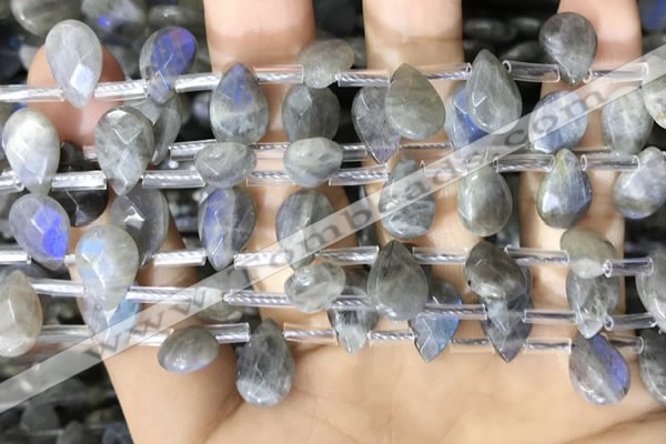 CLB1044 Top drilled 8*12mm faceted briolette labradorite beads