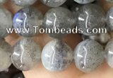 CLB1058 15.5 inches 8mm round labradorite gemstone beads