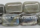 CLB124 15.5 inches 18*25mm rectangle labradorite gemstone beads wholesale