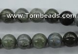 CLB129 15.5 inches 10mm round labradorite gemstone beads wholesale