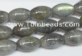 CLB151 15.5 inches 10*16mm rice labradorite gemstone beads