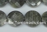 CLB193 15.5 inches 20mm faceted coin labradorite gemstone beads